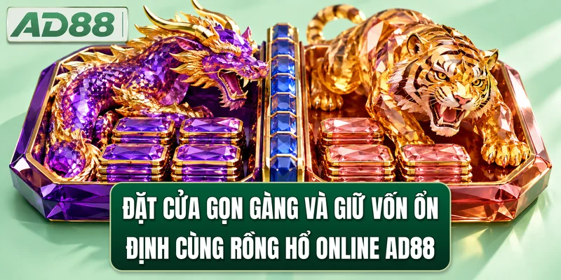 Đặt cửa gọn gàng và giữ vốn ổn định cùng rồng hổ online AD88