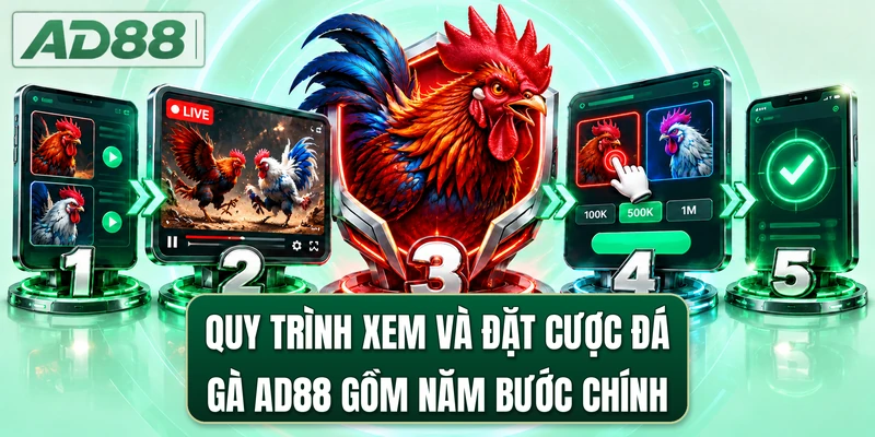 Quy trình xem và đặt cược đá gà AD88 gồm năm bước chính