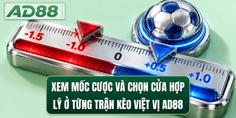 Xem mốc cược và chọn cửa hợp lý ở từng trận kèo Việt Vị AD88